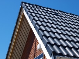 (geen groter formaat afbeelding beschikbaar)