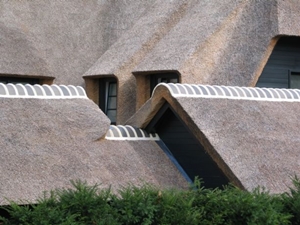 rietvorst, blauwe nokpannen, www.rietendakenvranken.be (klik voor groter)