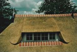 rietvorst, gebakken pan, www.rietdekkerbron.nl