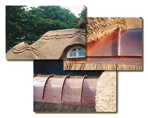 rietvorst, koper, foto copyright www.rasenberg.be (klik voor groter)