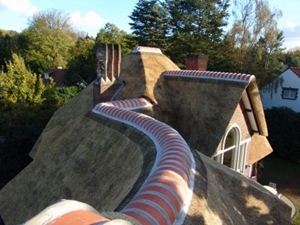 rietvorst, rode nokpannen, www.rietendakenvranken.be (klik voor groter)